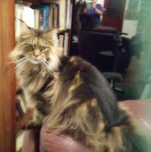 Meet your Posher, Rosemary